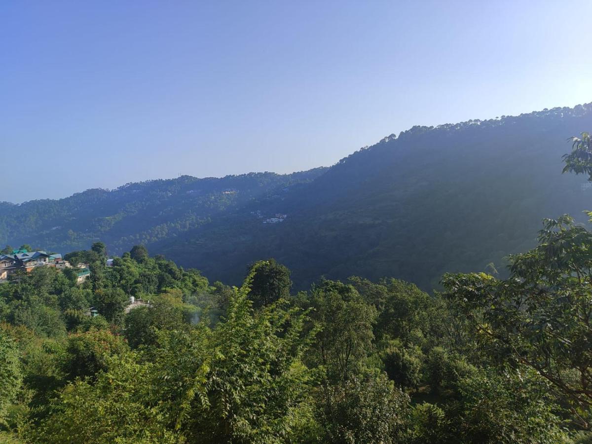 Idyllic Private Cottage W/King Bed + Mountain View Kasauli Luaran gambar